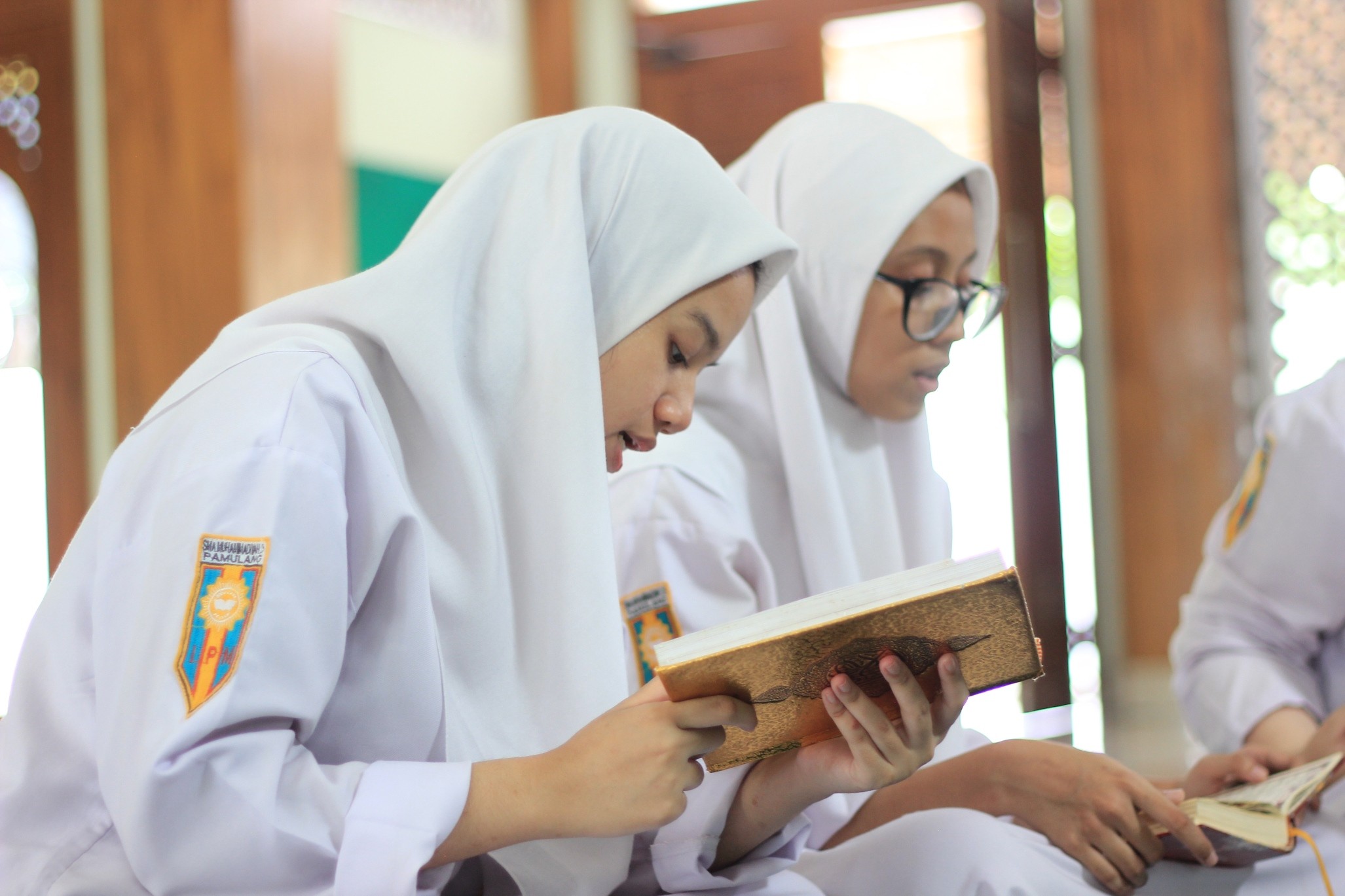 Program ISMUBA
